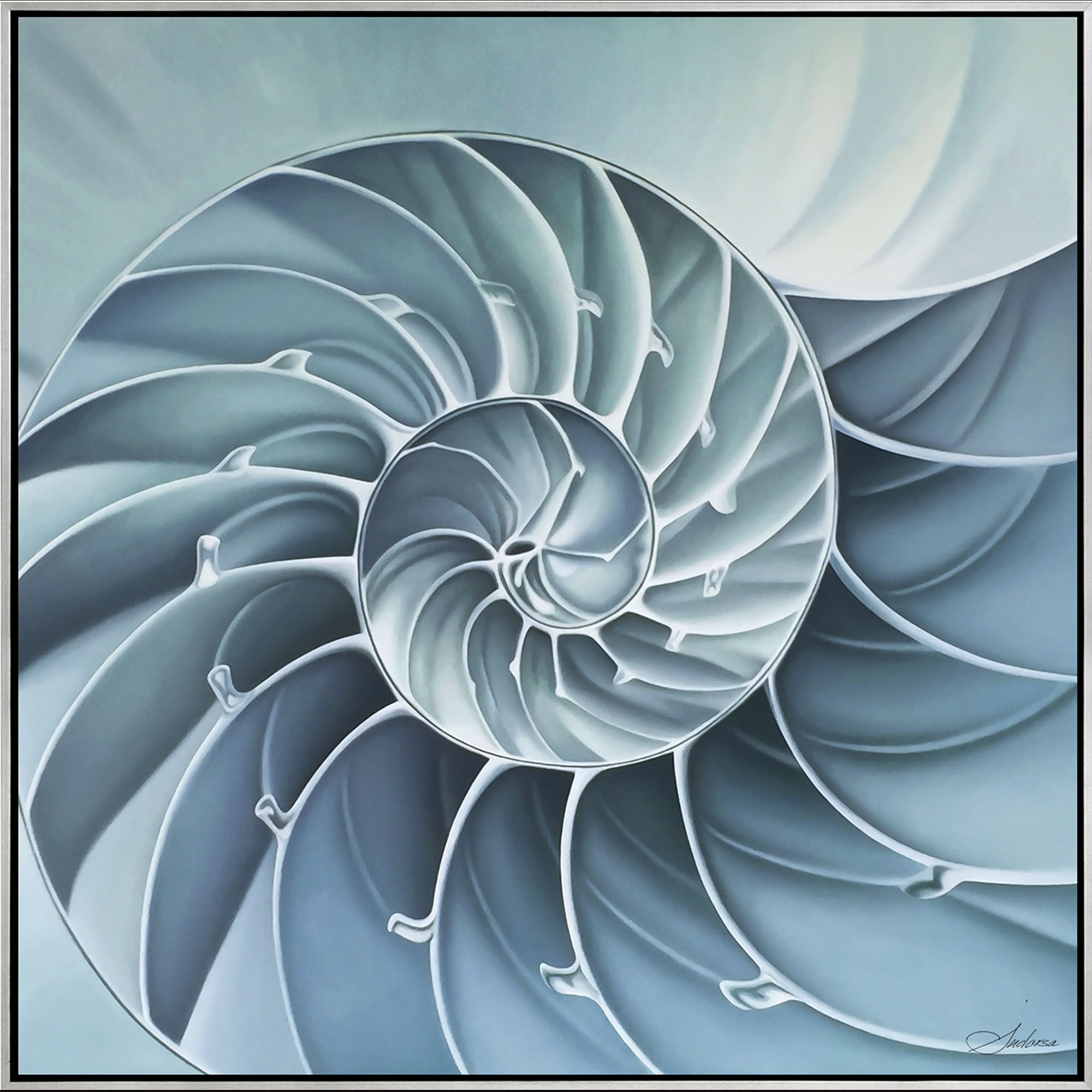 Nautilus
