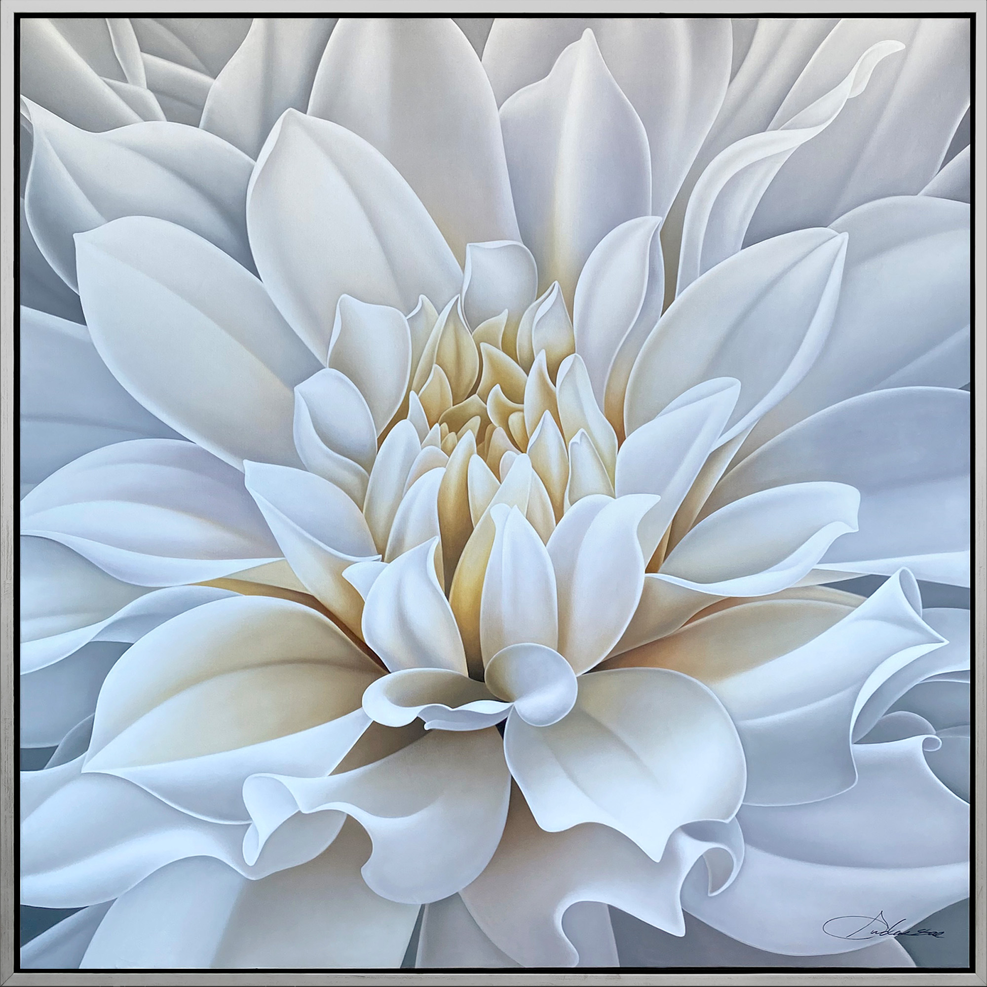 White Dahlia