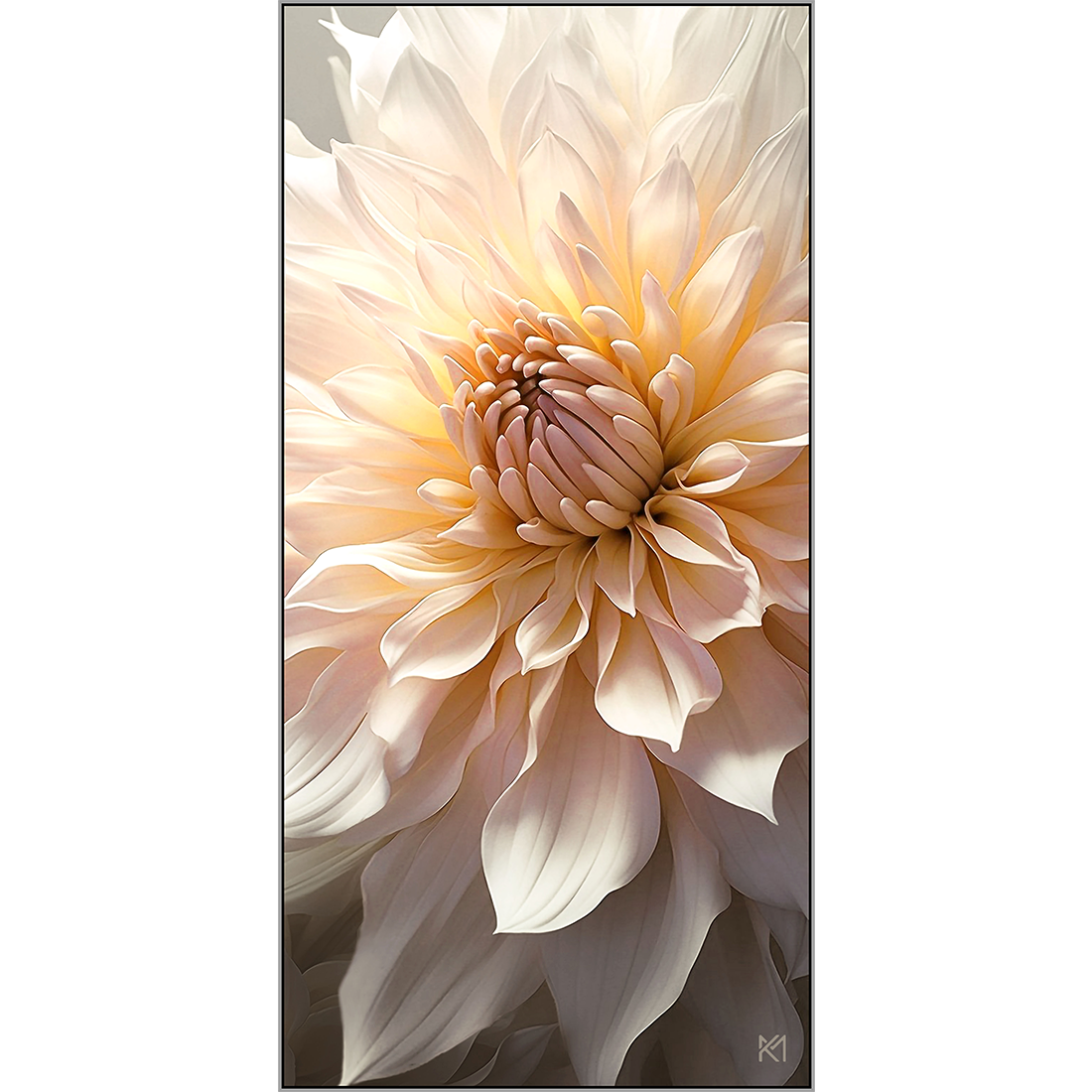 Dahlia 1