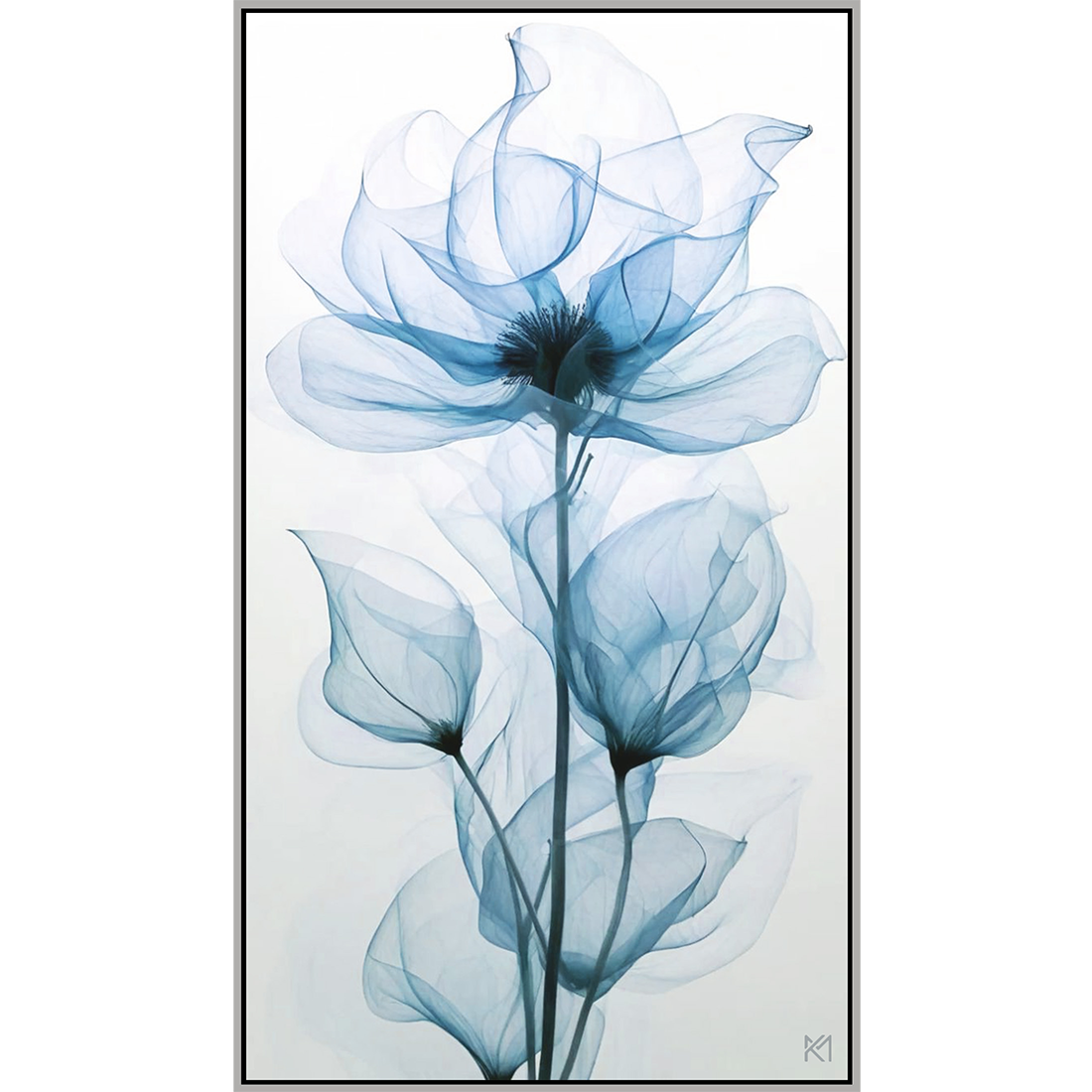 Flora 2